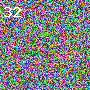 One image, five candidates, number 29