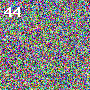 One image, five candidates, number 41